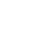 Zerg
