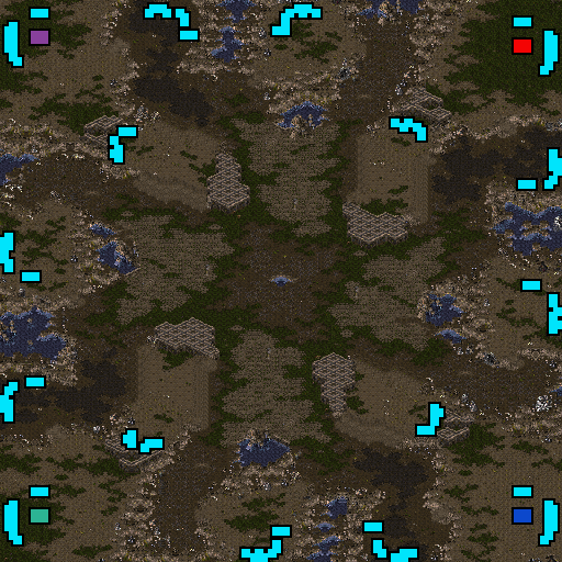 Polypoid preview